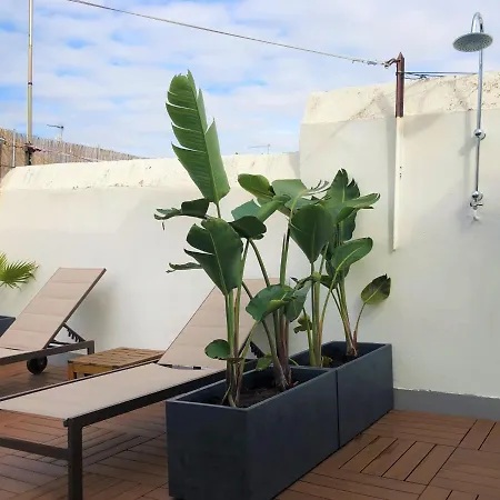 Apartment Luxury House 1892 V33-1a *