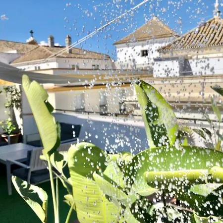 Luxury House 1892 V33-1a Apartamento Sevilla